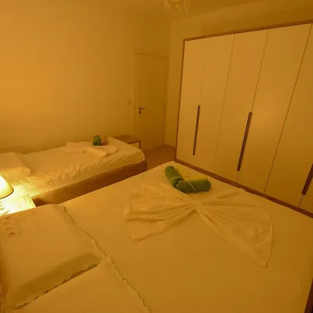 Denis Comfort Shkodër